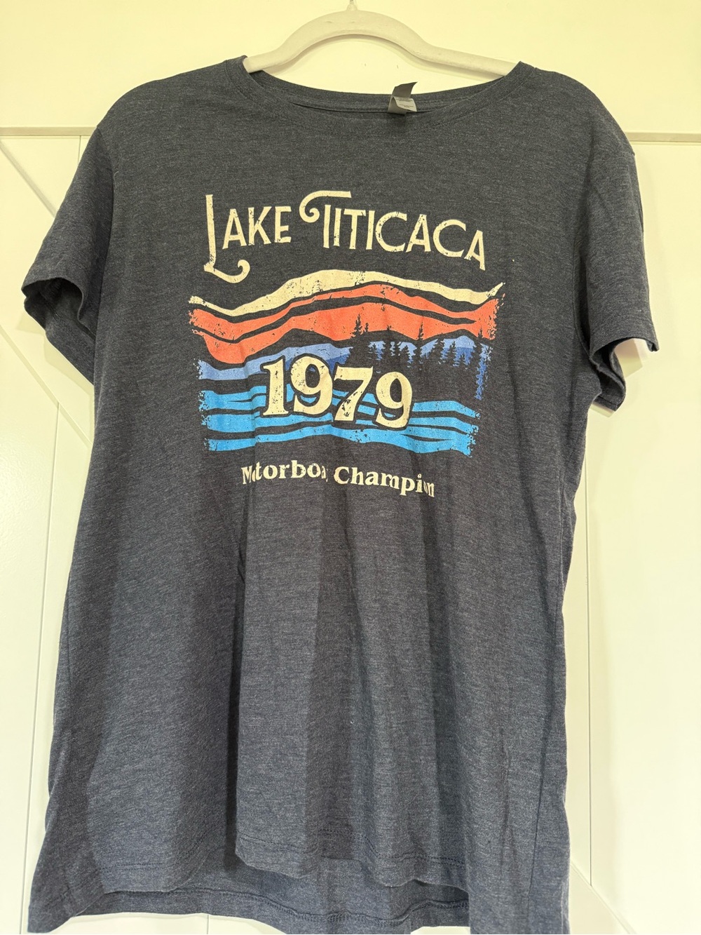 Next Level Apparel Charcoal Lake Titicaca 1979 Graphic Tee
